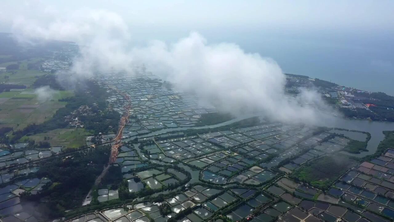 (电视通稿ⷥ›𝥆…ⷧ”Ÿ态)海南:渔业绿色转型 保护海洋生态