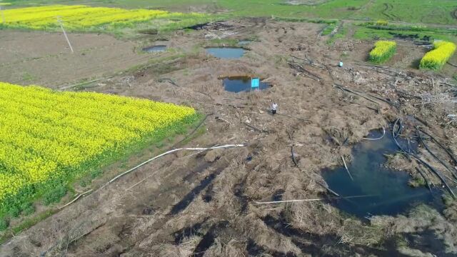 最高检、水利部联合发布涉水领域检察公益诉讼典型案例