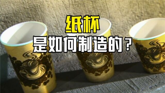 一次性纸杯是怎么制造的?先将纸张印上图案,再卷成圆筒!