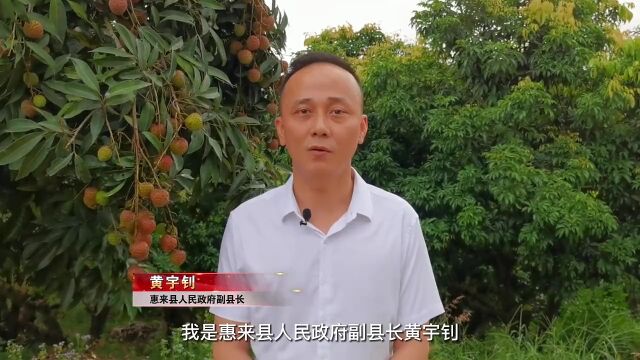 最新!惠来副县长黄宇钊,为惠来荔枝打call