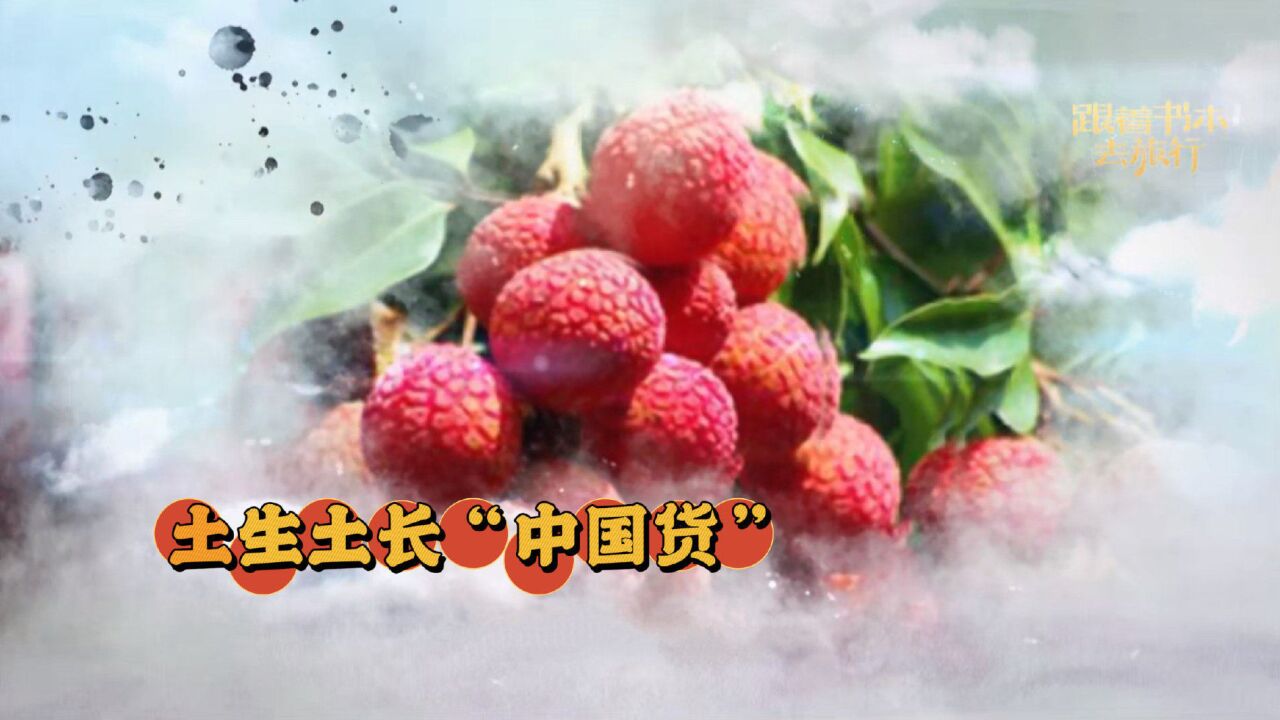 涨知识!荔枝是土生土长的中国货