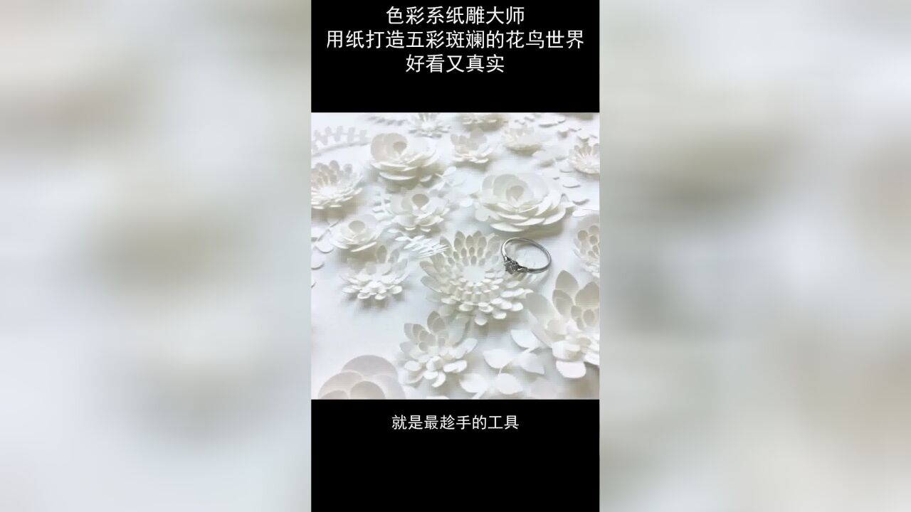 纸雕大师用纸打造五彩斑斓的花鸟世界,好看又真实