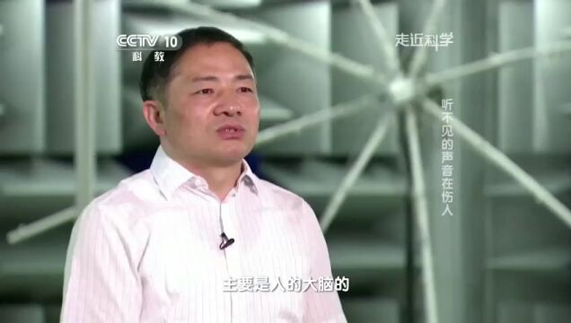 听不见的声音在伤人