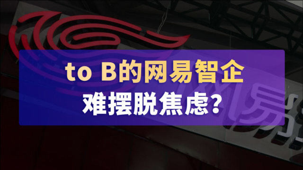 网易做不了to B的“头号玩家”