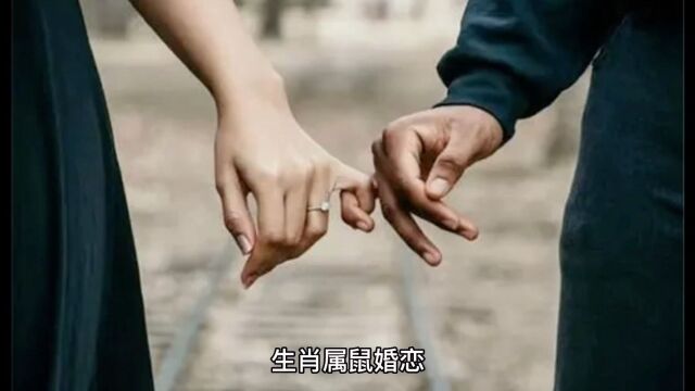 解析婚恋路