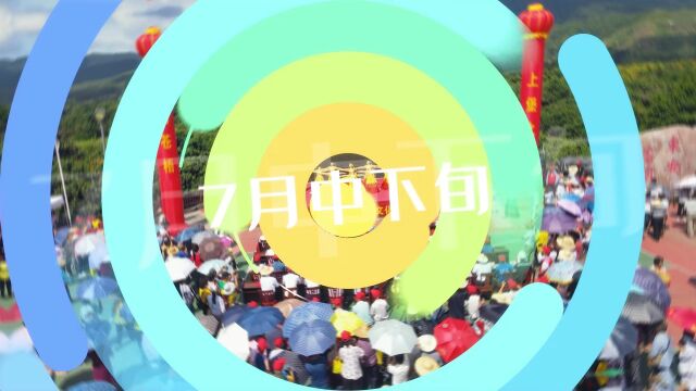 2022年苍梧县第五届沙头迟熟荔枝文化宣传周宣传视频