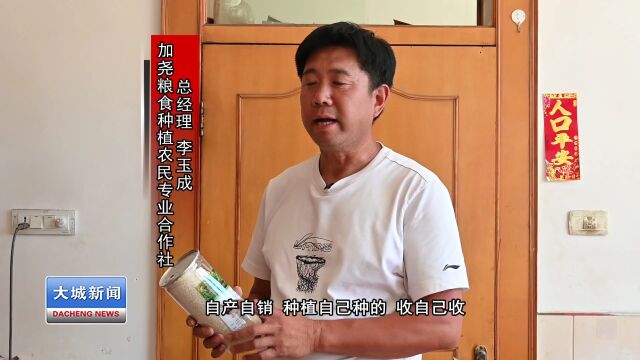 旺村镇:产业融合赋能乡村振兴“稻”路