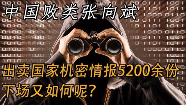 中国败类张向斌间谍生涯20年,出卖国家情报5200余份,下场又如何