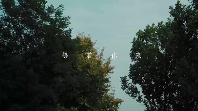 【“冀”录新时代】我爱我家乡系列— 景 曹妃甸落日归山海 陪伴成告白