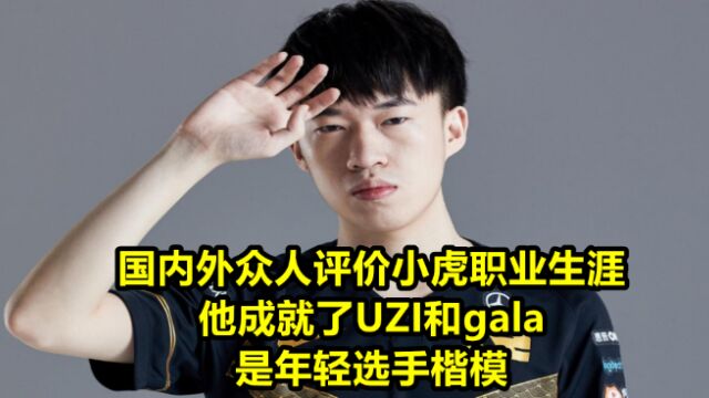 众人评价小虎职业生涯:他成就uzi和gala,是年轻选手楷模