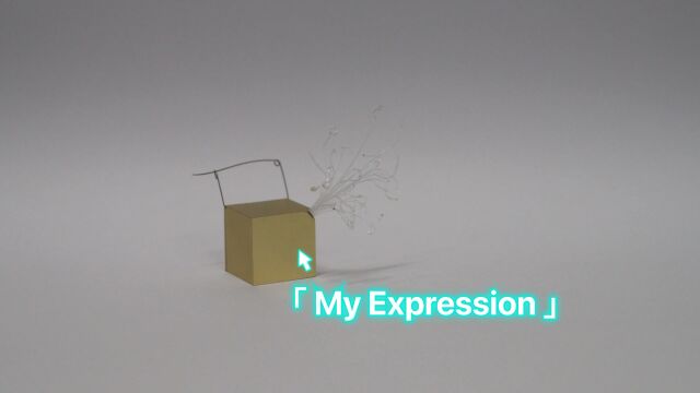 my expression