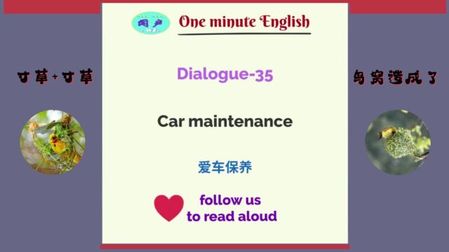 一分钟英语D35 爱车保养  英语学习 Learn English  英语日常会话英语口语bt (12)