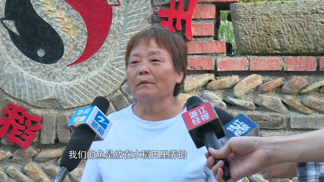 全球重要农业文化遗产大会将在青田举办