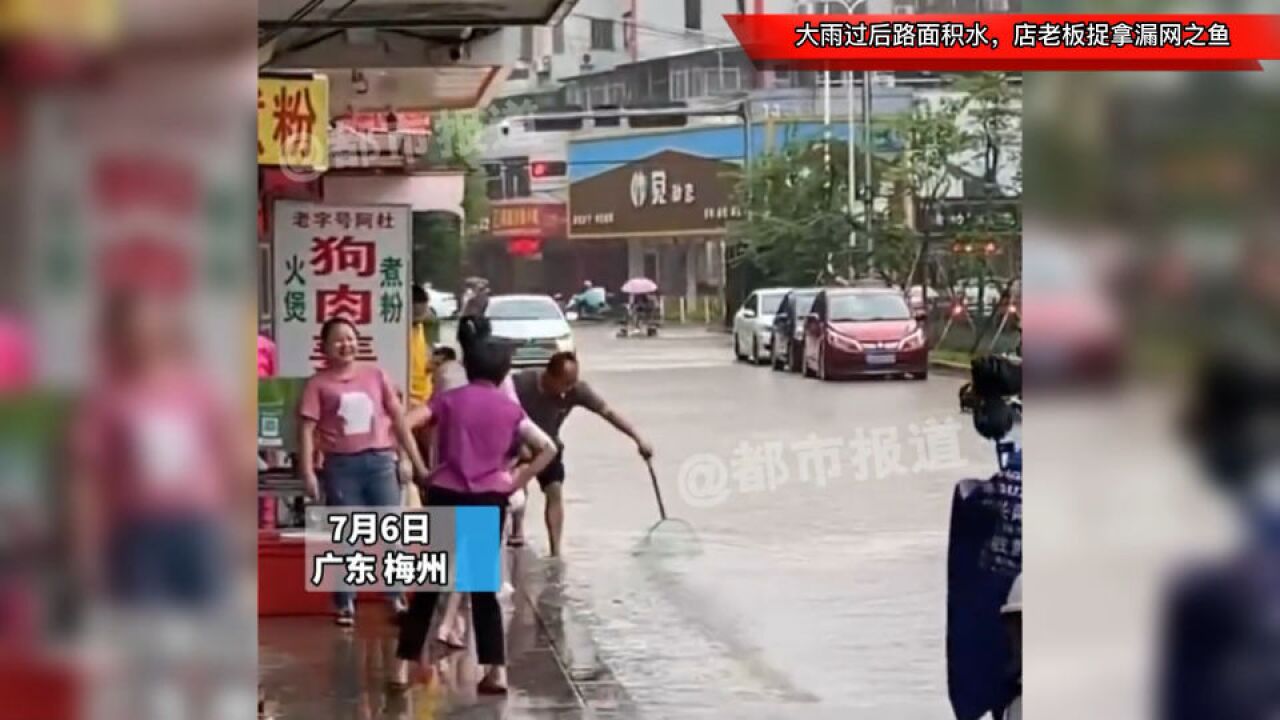 大雨过后路面积水,店老板捉拿漏网之鱼, 鱼:爱拼才能“赢”!