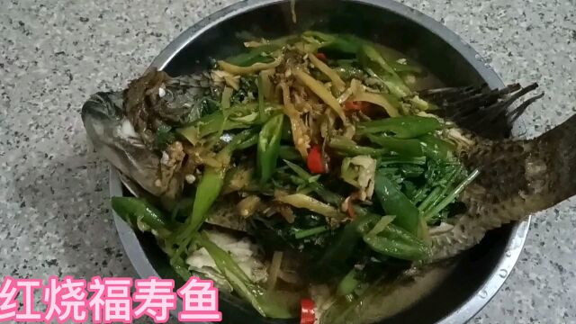 家常红烧福寿鱼,暑不尽的美好食光