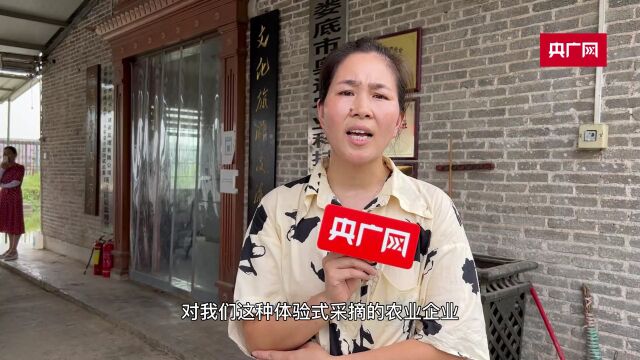 【央广网】湖南娄底:一条高灯河,托稳幸福梦