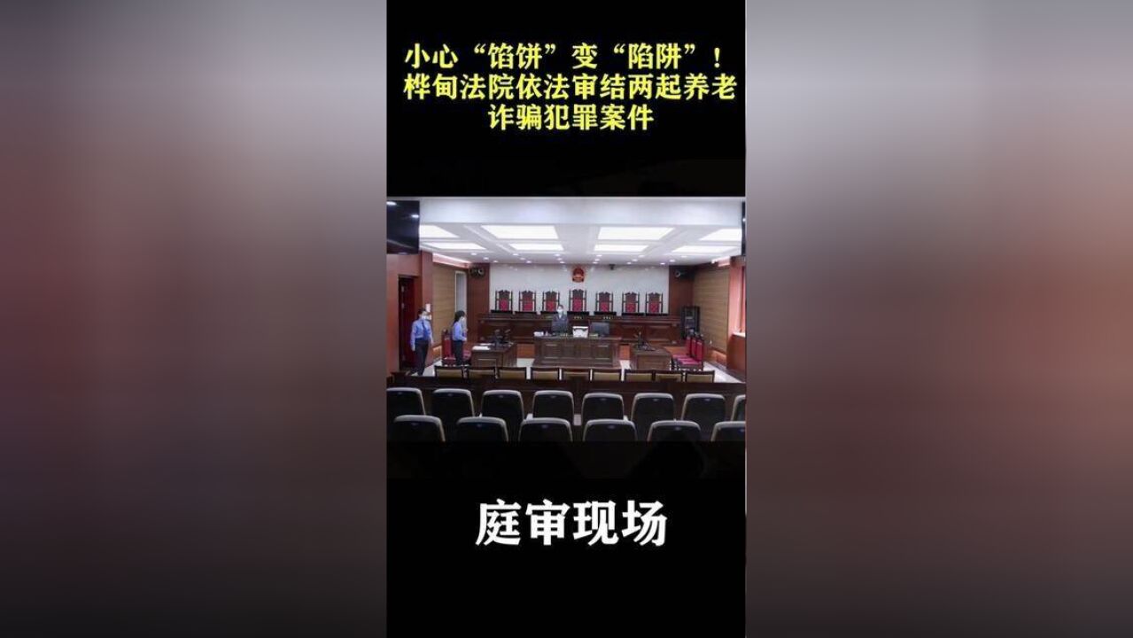 桦甸法院依法审结两起“”养老诈骗犯罪案件