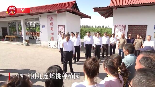 习近平在新疆石河子市考察调研