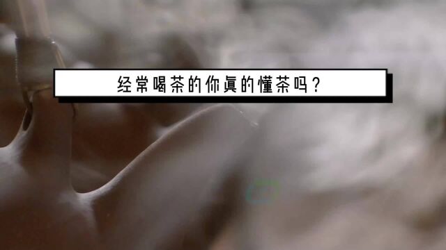 经常喝茶的你真的懂茶吗?茶叶冷知识快收藏