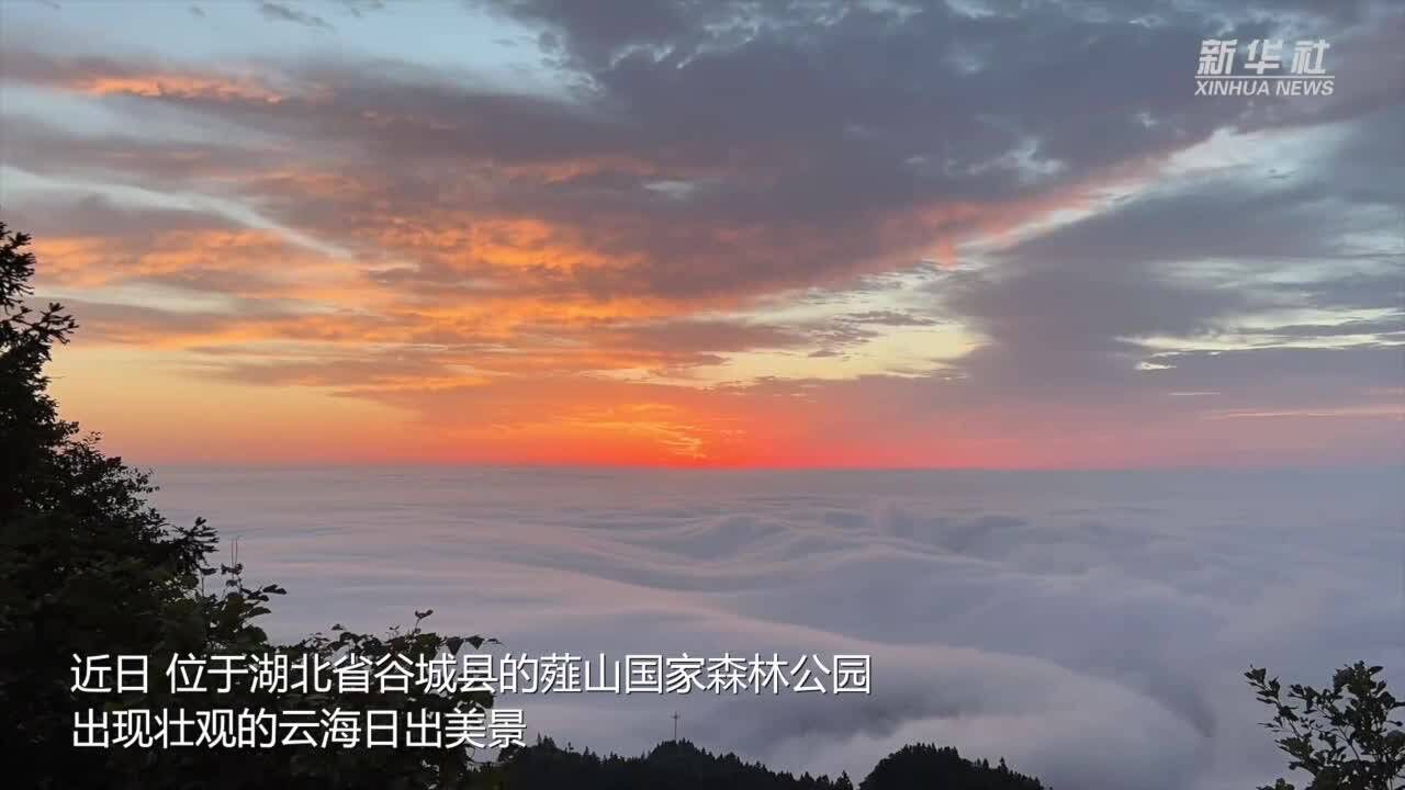 湖北谷城:日出薤山 云海翻涌