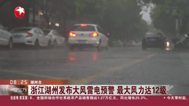 浙江湖州发布大风雷电预警 最大风力达12级