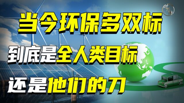 当今环保多双标,到底是全人类目标还是他们的刀? 