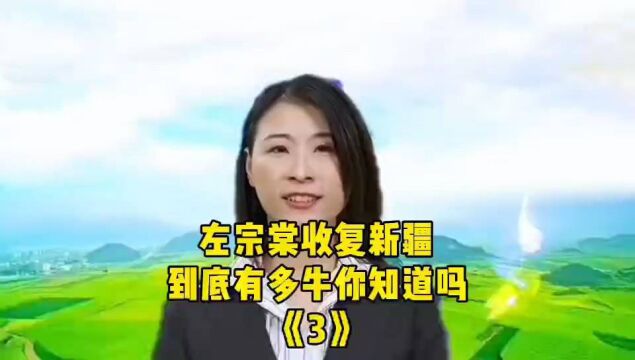 左公当之无愧的英雄