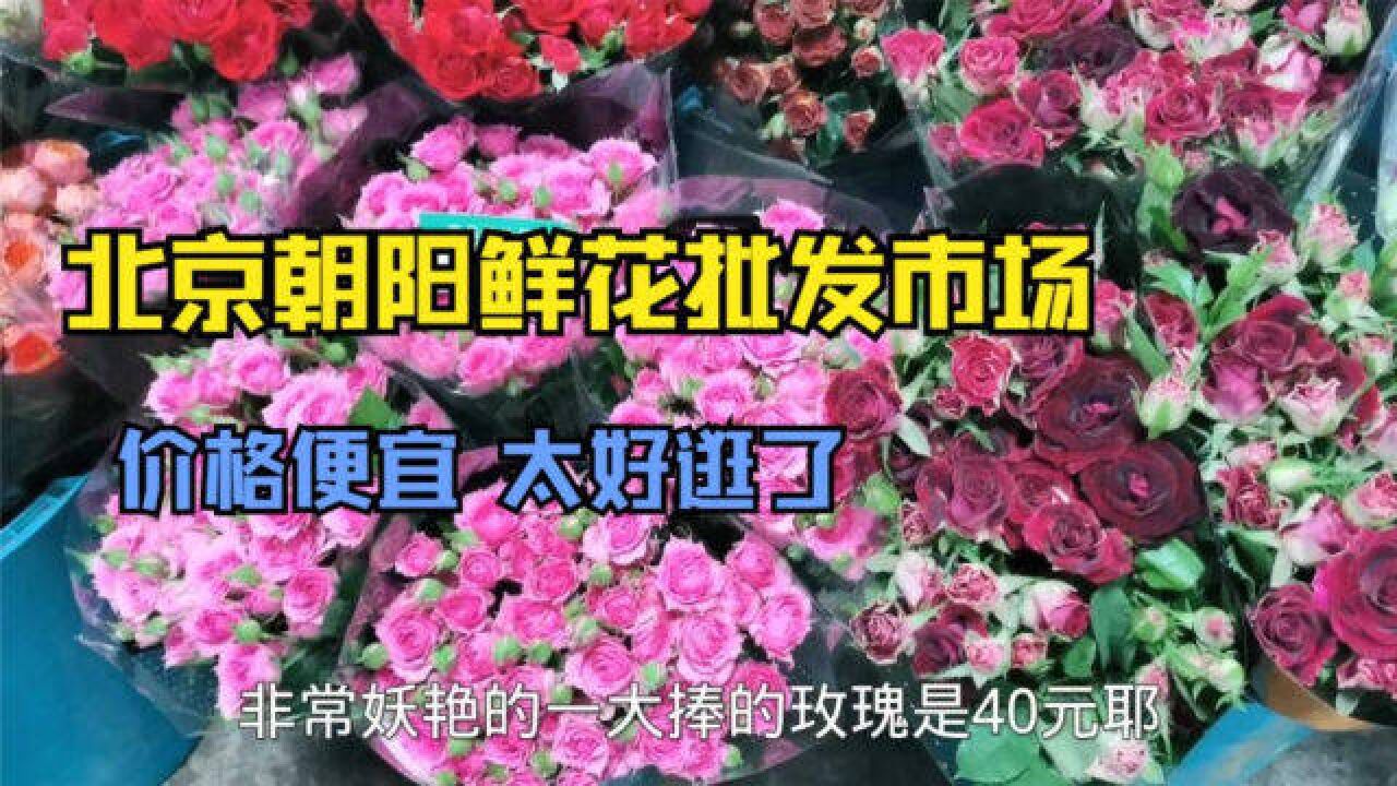 北京朝阳鲜花宝藏批发市场,这里是鲜花天堂,品种齐全,价格便宜