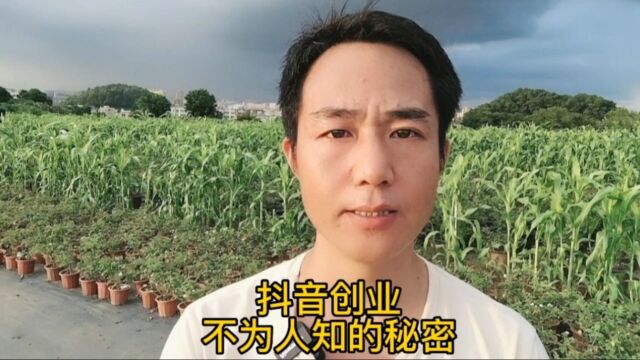 抖音短视频创业