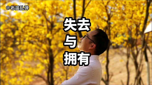 失去与拥有|小故事