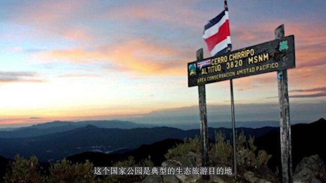 2022亚洲山地旅游推广大会 | 周丽:生态旅游是促进亚洲山地旅游可持续发展的最优方式之一