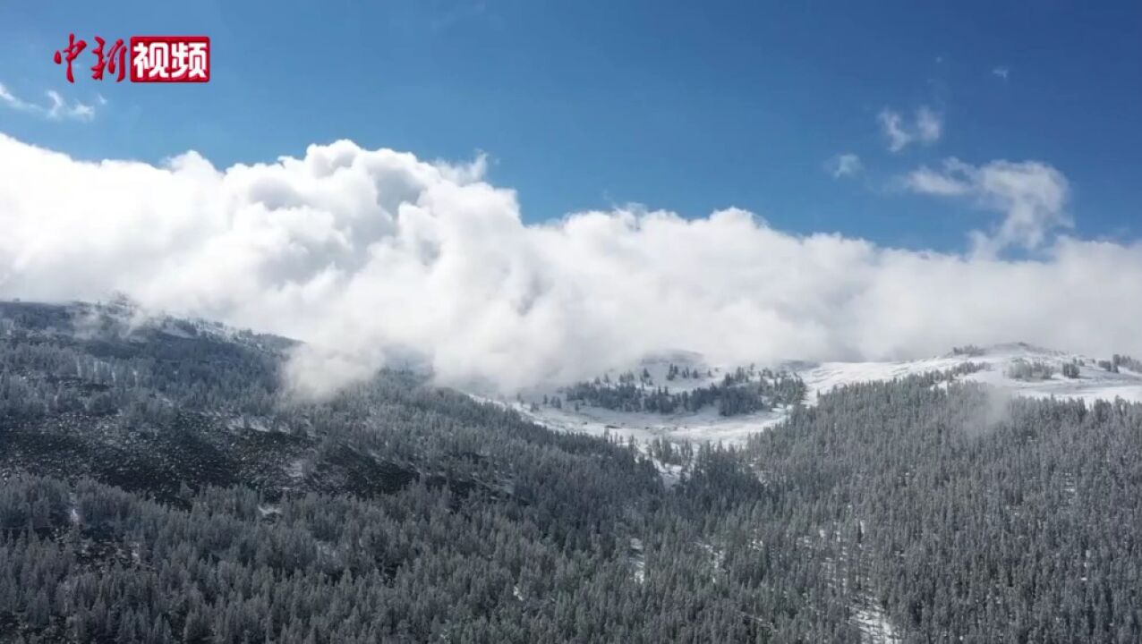 新疆富蕴县降秋雪