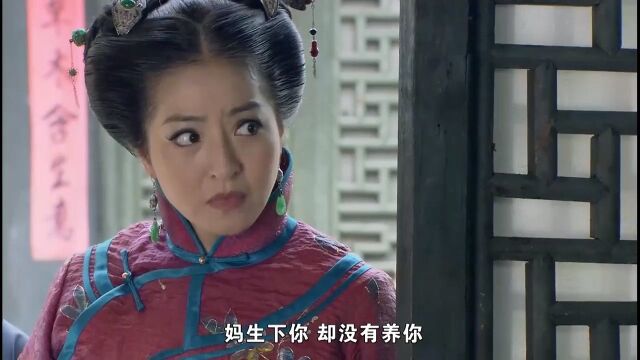 花劫:儿媳未婚生子,被豪门婆婆揭穿,丈夫始终不相信