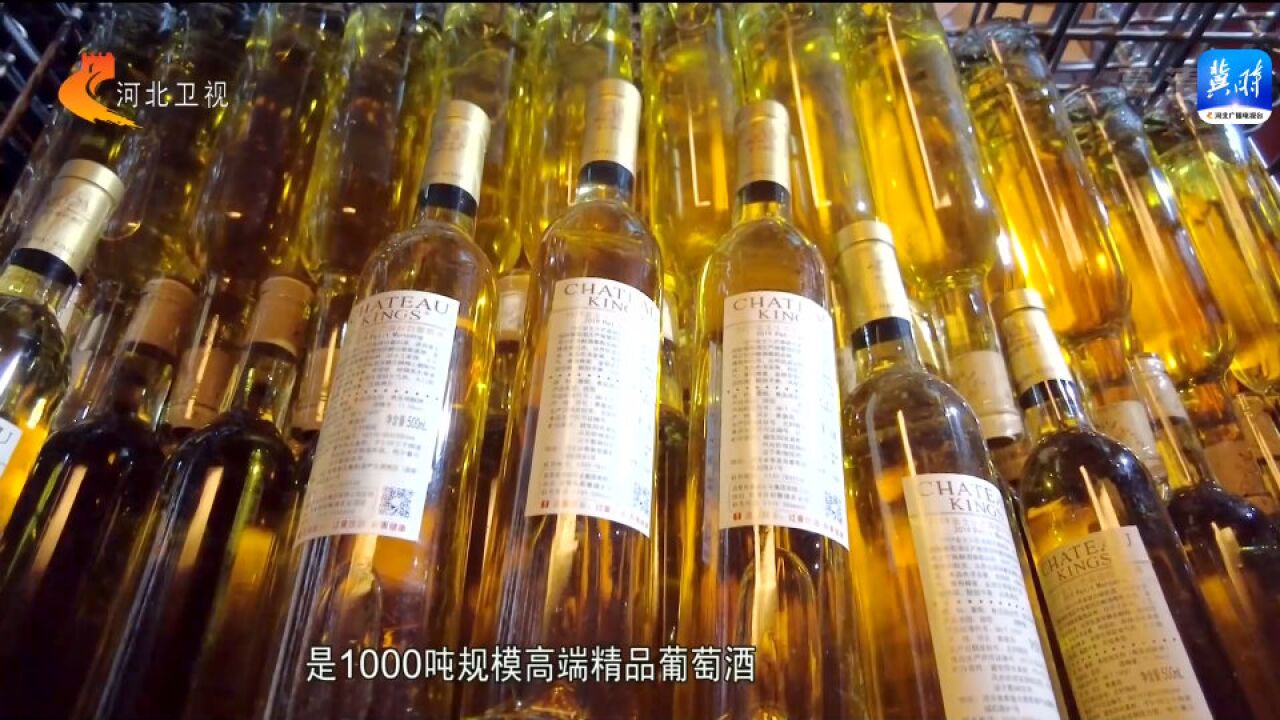 推进县域经济高质量发展丨秦皇岛昌黎:葡萄酒产业寻破局