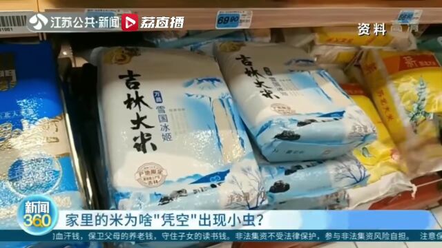 家里的米为啥凭空出现小虫?专家释疑→