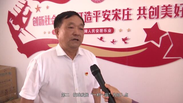 【谋发展 争出彩】向先进看齐 向先进学习——蒲西街道宋庄村:加足马力 深化“四星”支部创建