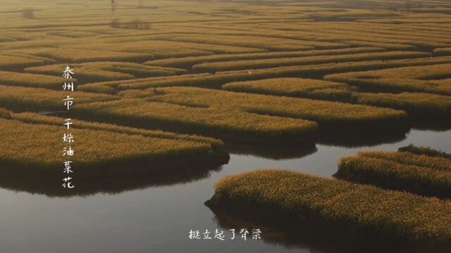 如何提高公众辨别“问题地图”的能力?泰州市局这么做→