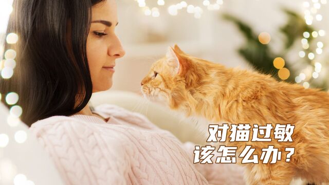 对猫过敏,该怎么办?