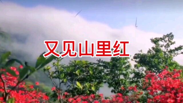 经典老歌《又见山里红》