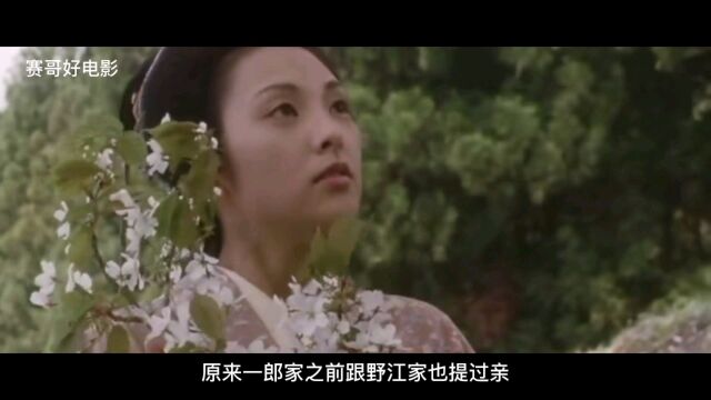 樱花树下,美丽女子重拾幸福,日本爱情电影山樱,田中丽奈 #电影解说