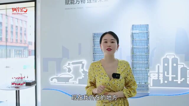 深读“互联网+工业”,树根互联用“数”驱动制造业升级丨数字湾区