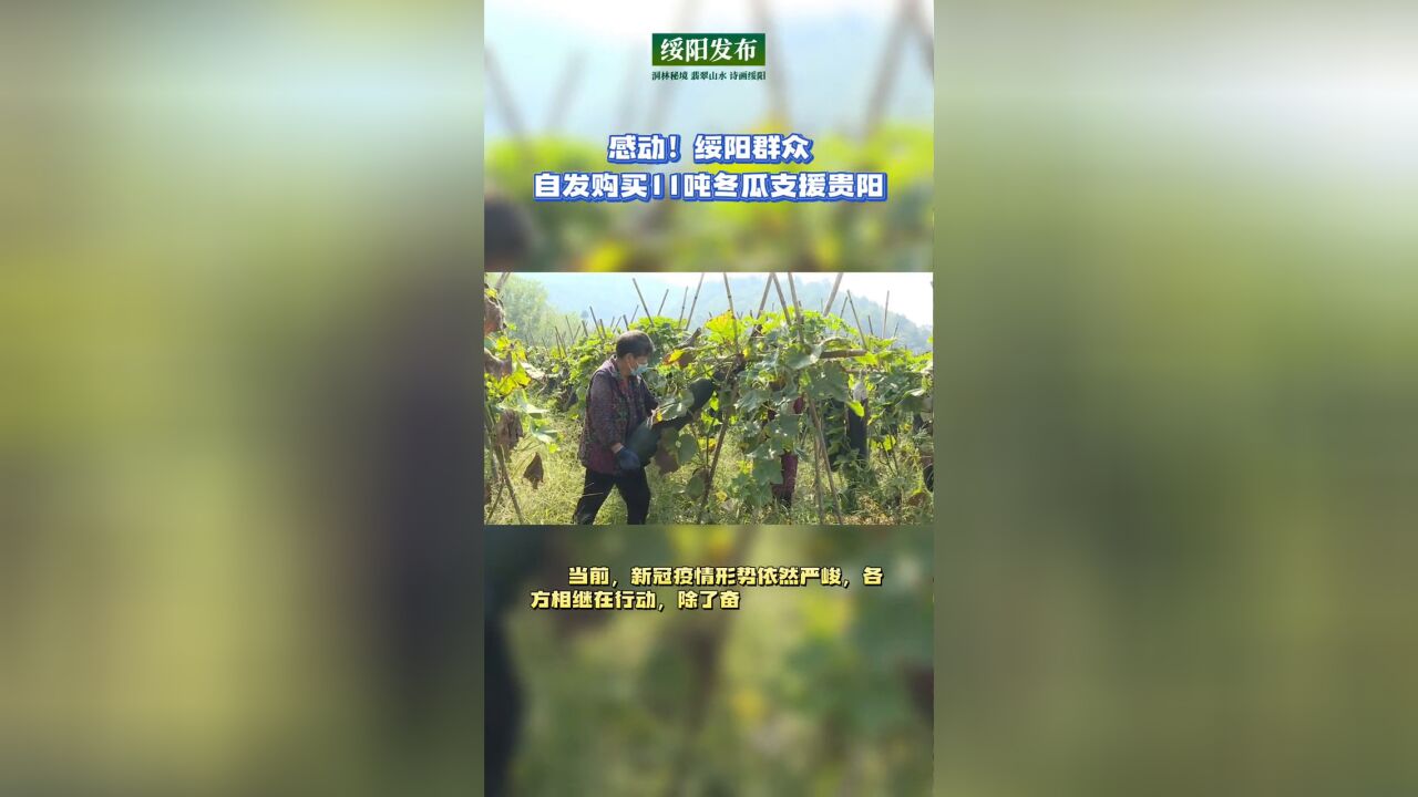 绥阳群众自筹资金购买11吨冬瓜支援贵阳