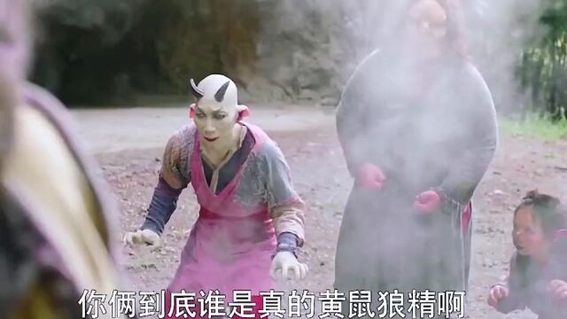 这黄鼠狼放的屁绝对是魔法伤害,谁顶得啊