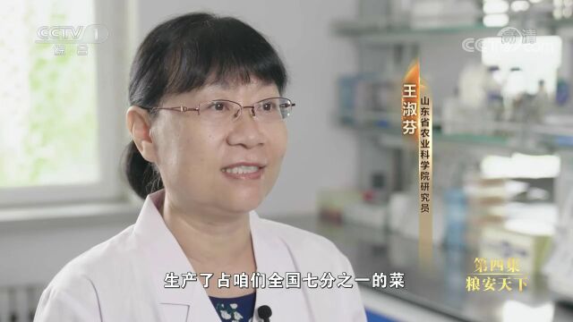 纪录片《为了更美好的生活》|第四集 粮安天下