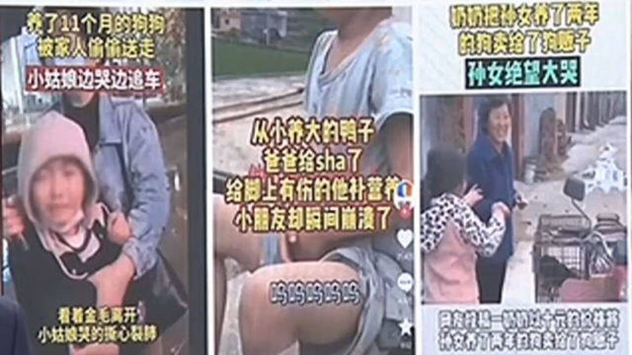 用孩子吸引流量,平台要发力,将“啃小族”扫地出门