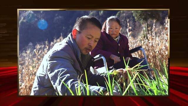 宣恩县文明家庭事迹展播 黄德洲家庭:用坚持和执着书写人间真情