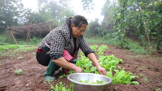 幺妈和幺叔:日子就是柴米油盐酱醋茶.田园生活,平淡而温馨