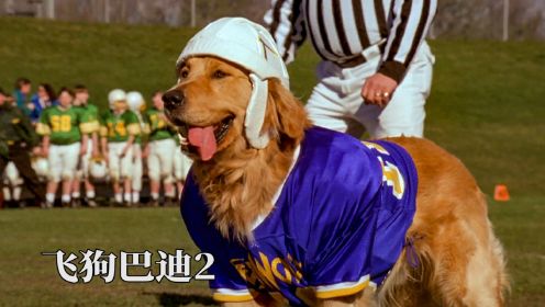 狗狗喜剧电影，飞狗巴迪表现出众再夺橄榄球冠军