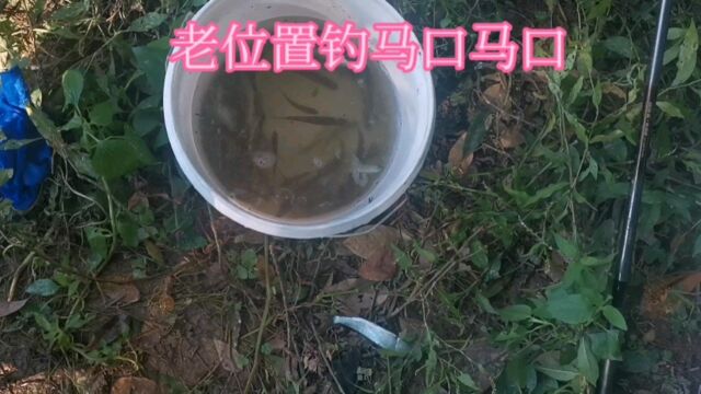 这个天气还是拉马口稳当