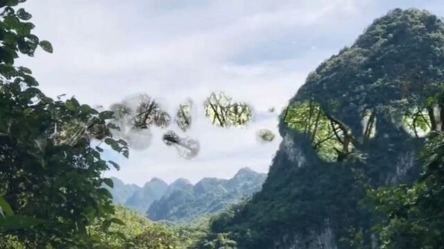 人间美景——我们同学一行的凤山县三门海之游